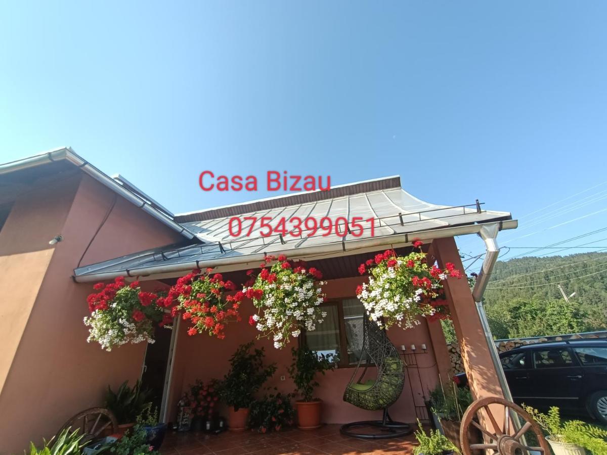 Casa Bizau 호텔 Viseu de Mijloc 외부 사진